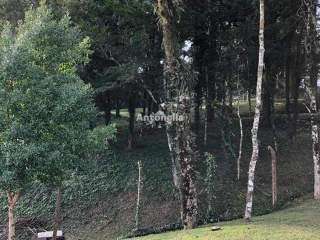 Terreno venda em Região Geográfica Imediata de Caxias do Sul, Caxias do Sul