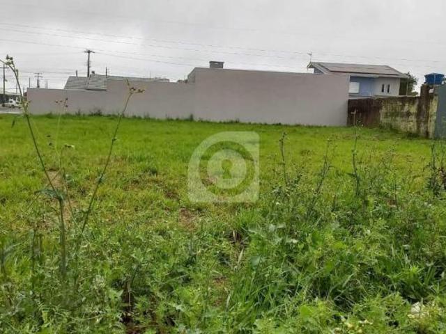 Terreno venda em Região Geográfica Imediata de Foz do Iguaçu, Foz do Iguaçu
