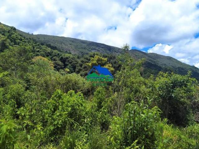 Terreno venda em Região Geográfica Imediata de Caxambu - Baependi, Aiuruoca