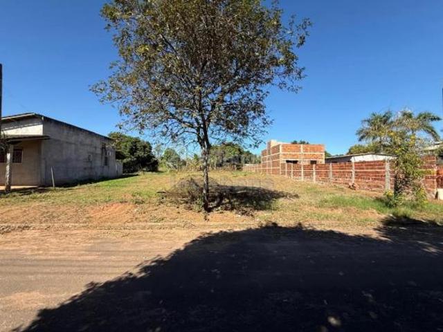 Terreno venda em Sales