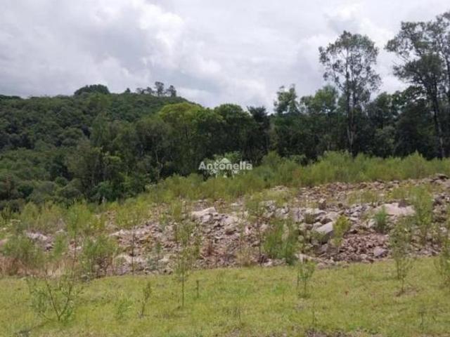 Terreno venda em Região Geográfica Imediata de Caxias do Sul, Caxias do Sul