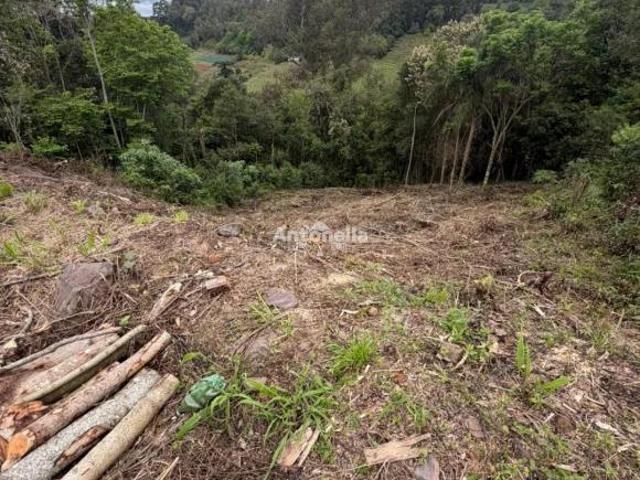 Terreno venda em Primeiro Distrito, Caxias do Sul