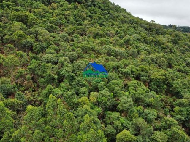 Terreno venda em Aiuruoca, Região Geográfica Intermediária de Pouso Alegre