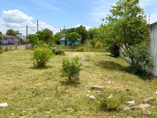Terreno venda em Urlândia, Santa Maria