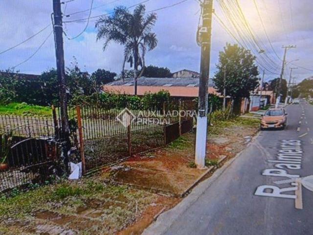 Terreno venda em Gravataí