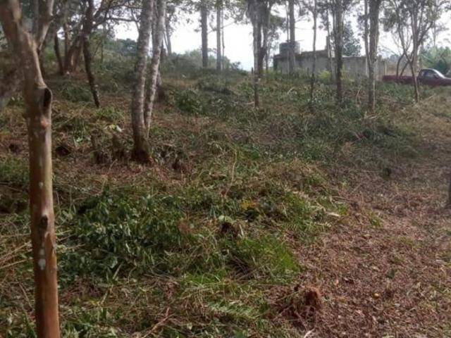 Terreno venda em Região Imediata de São Paulo, Região Metropolitana de São Paulo