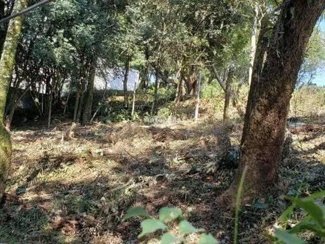 Terreno venda em Região Geográfica Imediata de Caxias do Sul, Caxias do Sul
