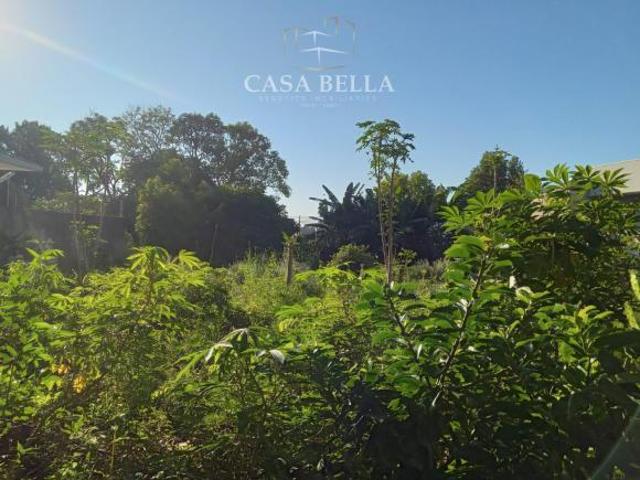 Terreno venda em Região Geográfica Imediata de Foz do Iguaçu, Foz do Iguaçu