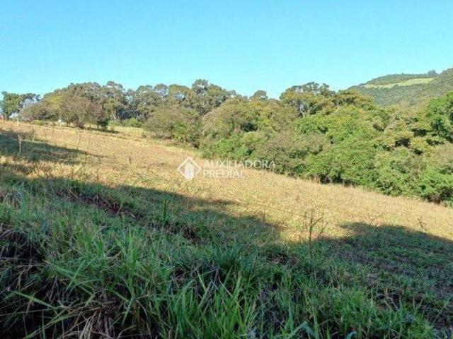Terreno venda em Região Geográfica Imediata de Caruaru, Gravata