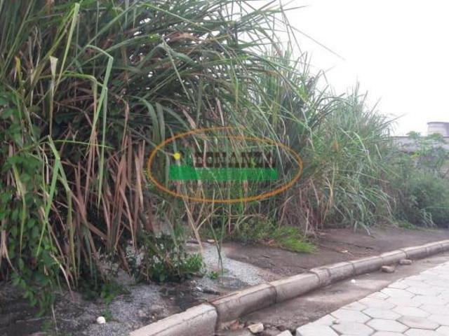 Terreno venda em Belo Vale, Região Geográfica Intermediária de Divinópolis