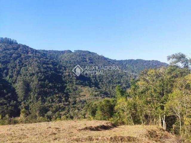 Terreno venda em Forquetinha