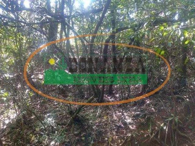 Terreno venda em Região Geográfica Imediata de Sete Lagoas, Caetanópolis