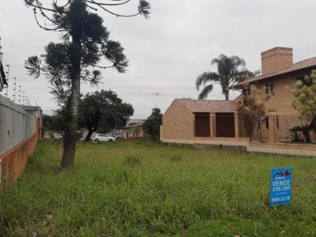 Terreno venda em Campo Bom