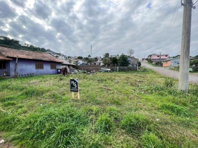 Terreno venda em Ipê