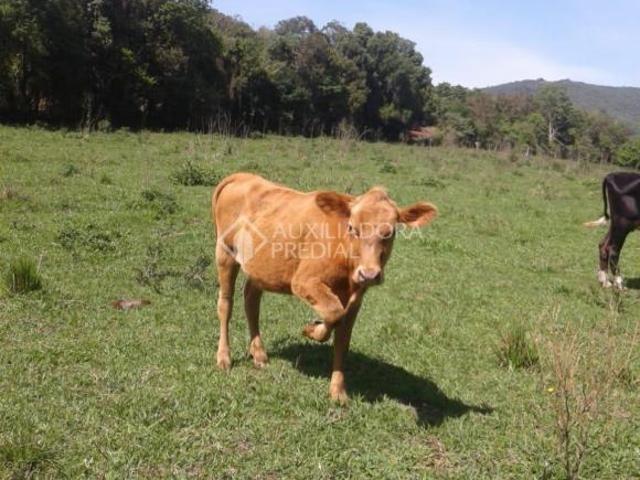 Terreno venda em Canudos do Vale