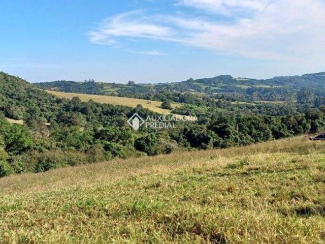 Terreno venda em Região Geográfica Imediata de Caruaru, Gravata