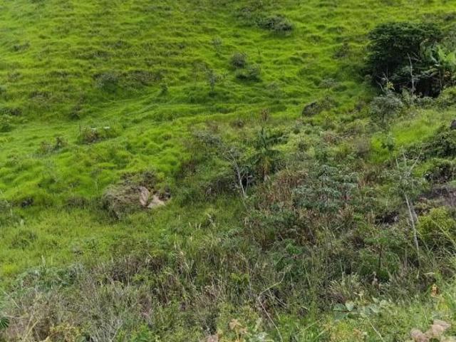Terreno venda em Marliéria, Região Geográfica Intermediária de Ipatinga