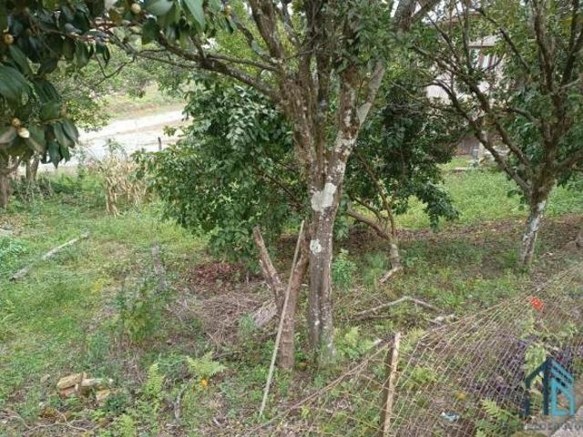 Terreno venda em Otávio Rocha, Flores da Cunha