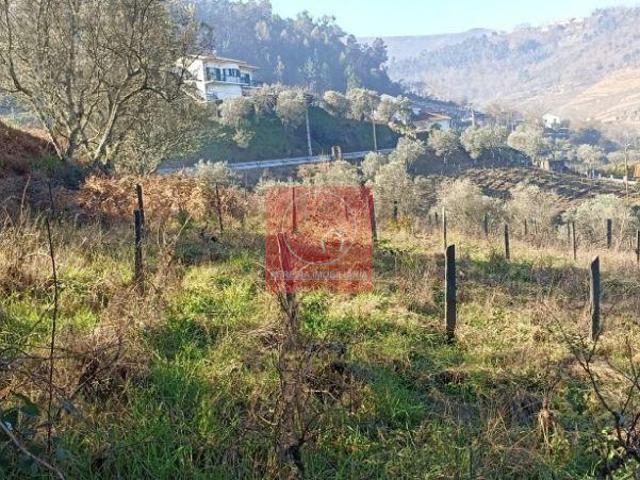 Terreno venda em Lamego, Viseu