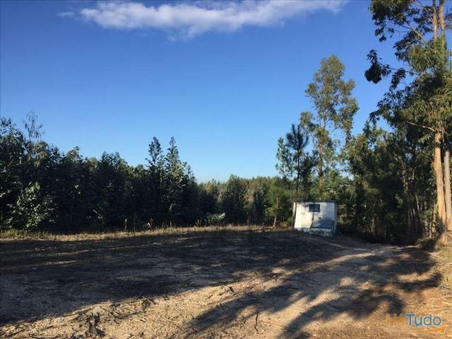 Terreno venda em Leiria