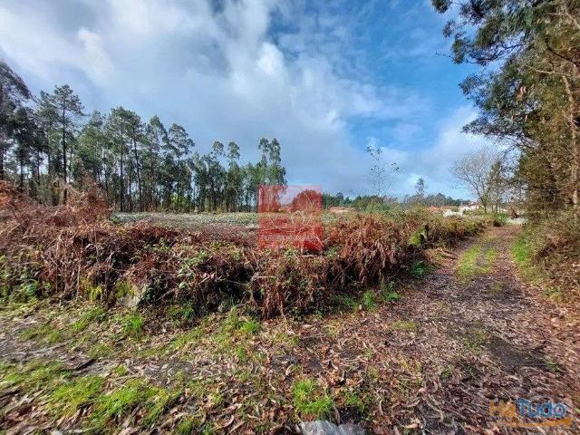 Terreno venda em Viana Do Castelo
