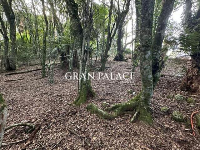Terreno venda em Residencial Lagos de Gramado, Gramado
