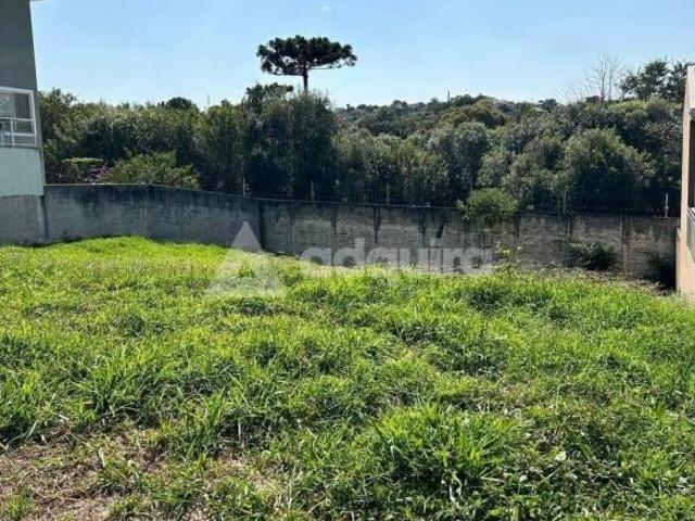 Terreno venda em Jardim São Gabriel, Ponta Grossa