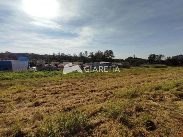 Terreno venda em Região Geográfica Imediata de Toledo, Toledo