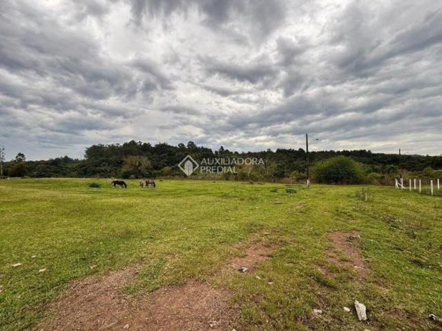 Terreno venda em Região Geográfica Imediata de Novo Hamburgo - São Leopoldo, Região Metropolitana de Porto Alegre