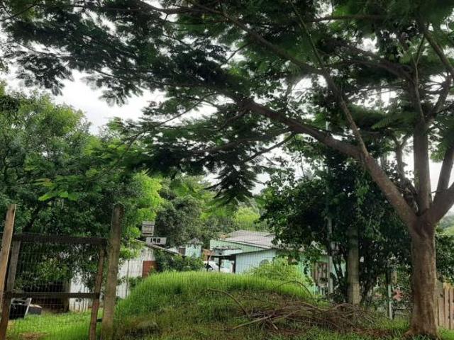 Terreno venda em Alvorada