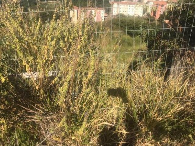 Terreno venda em Região Geográfica Imediata de Belo Horizonte, Região Metropolitana de Belo Horizonte
