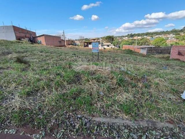 Terreno venda em Região Geográfica Imediata de Apucarana, Apucarana