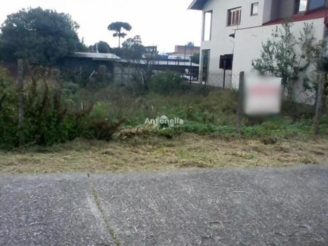Terreno venda em Região Geográfica Imediata de Caxias do Sul, Caxias do Sul