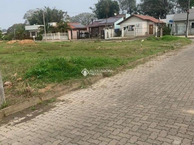 Terreno venda em Região Geográfica Imediata de Montenegro, Região Metropolitana de Porto Alegre