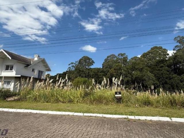 Terreno venda em Gramado