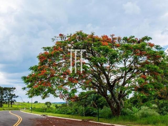 Terreno venda em Jardim Primavera, Jaguariúna