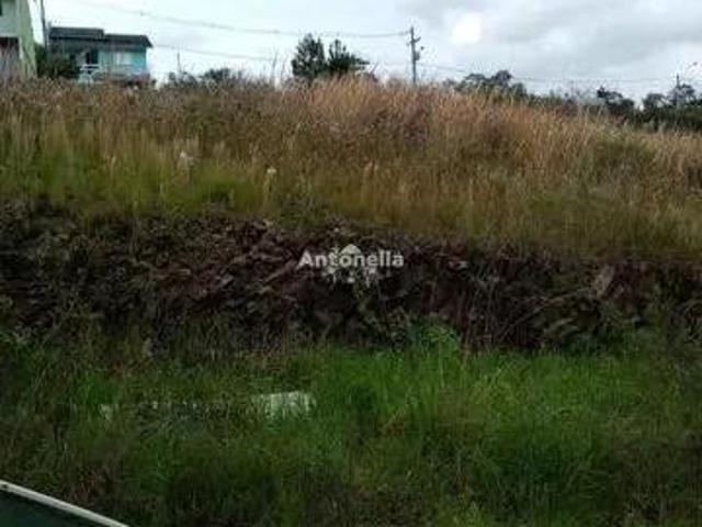 Terreno venda em Região Geográfica Imediata de Caxias do Sul, Caxias do Sul