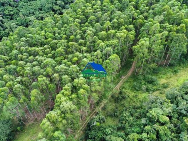 Terreno venda em Região Geográfica Imediata de Caxambu - Baependi, Aiuruoca