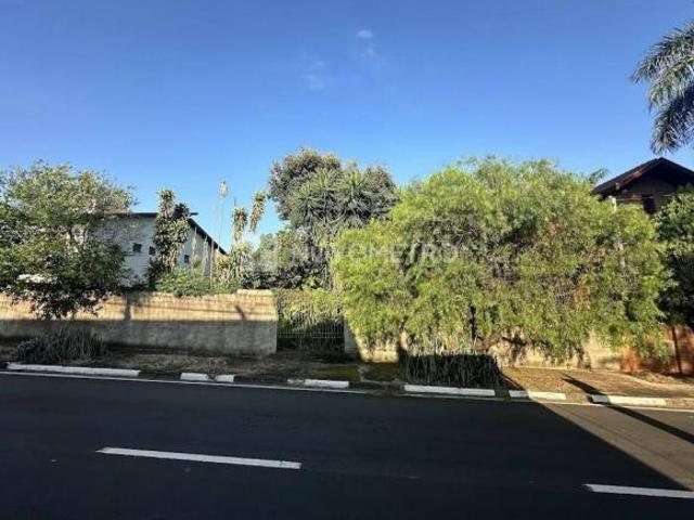 Terreno venda em Campinas, Chácara Primavera