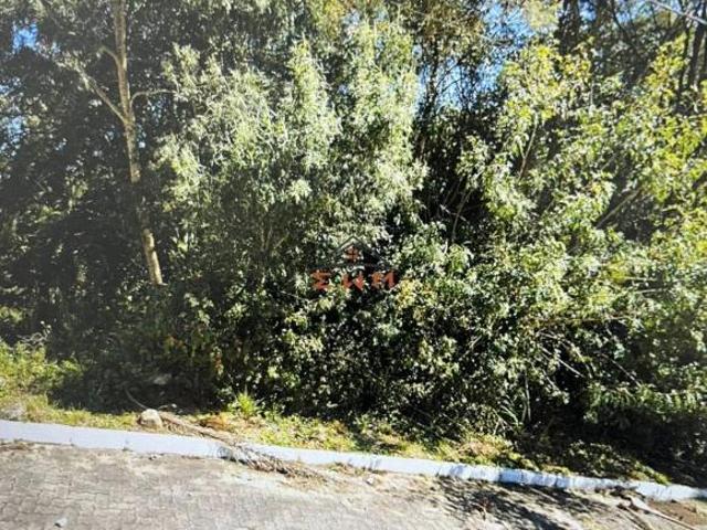 Terreno venda em Região Geográfica Imediata de Caxias do Sul, Farroupilha