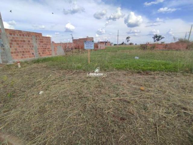 Terreno venda em Região Geográfica Imediata de Dourados, Dourados