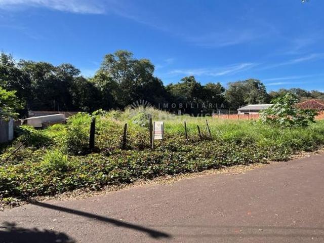 Terreno venda em Apucarana, Região Geográfica Intermediária de Londrina