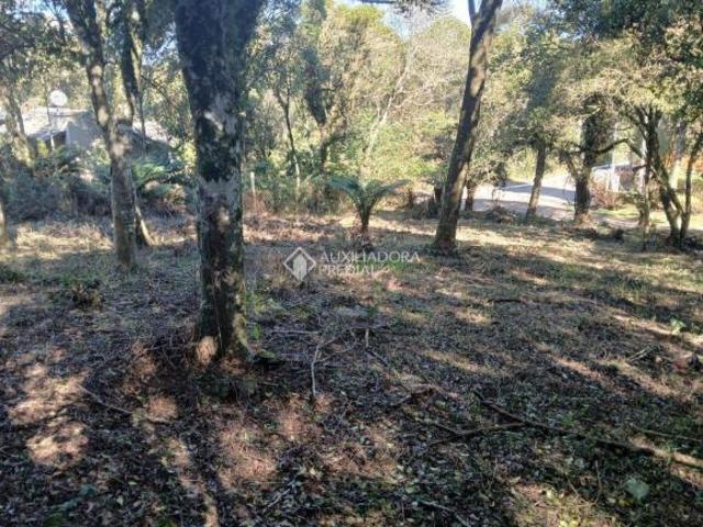Terreno venda em Região Geográfica Imediata de Caxias do Sul, São Francisco de Paula