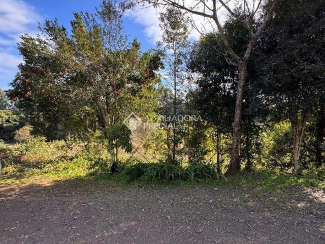 Terreno venda em Cruzeiro do Sul