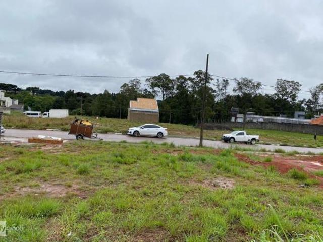 Terreno venda em Região Geográfica Imediata de Curitiba, Região Metropolitana de Curitiba