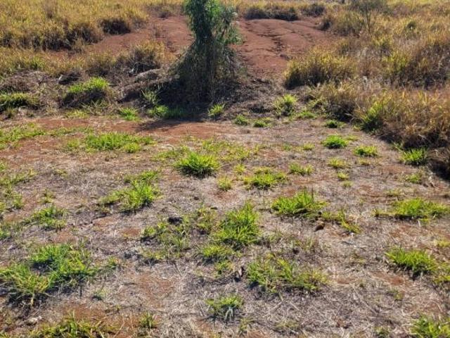 Terreno venda em Região Geográfica Imediata de Guaxupé, Guaxupé