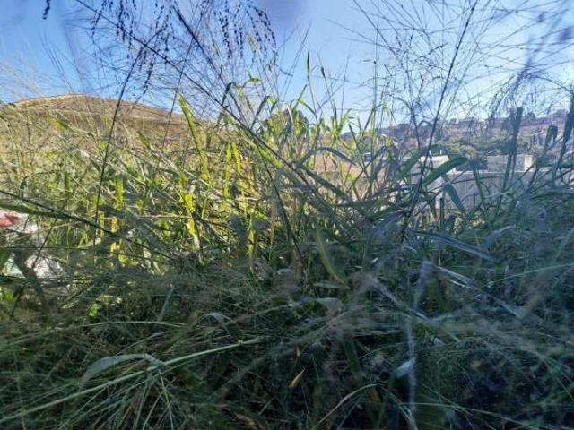 Terreno venda em Região Geográfica Imediata de Belo Horizonte, Região Metropolitana de Belo Horizonte