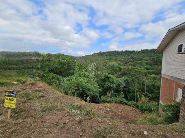 Terreno venda em Região Geográfica Imediata de Bento Gonçalves, Bento Gonçalves