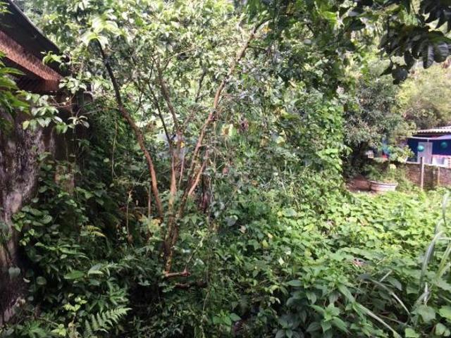 Terreno venda em Região Imediata de Santos, Região Metropolitana da Baixada Santista