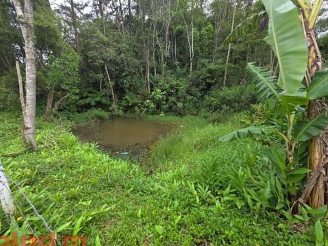 Terreno venda em Região Imediata de São Paulo, Região Metropolitana de São Paulo